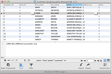 Navicat PostgreSQL (Mac OS X) - The Most Popular PostgreSQL Client tool(Lion Compatible)