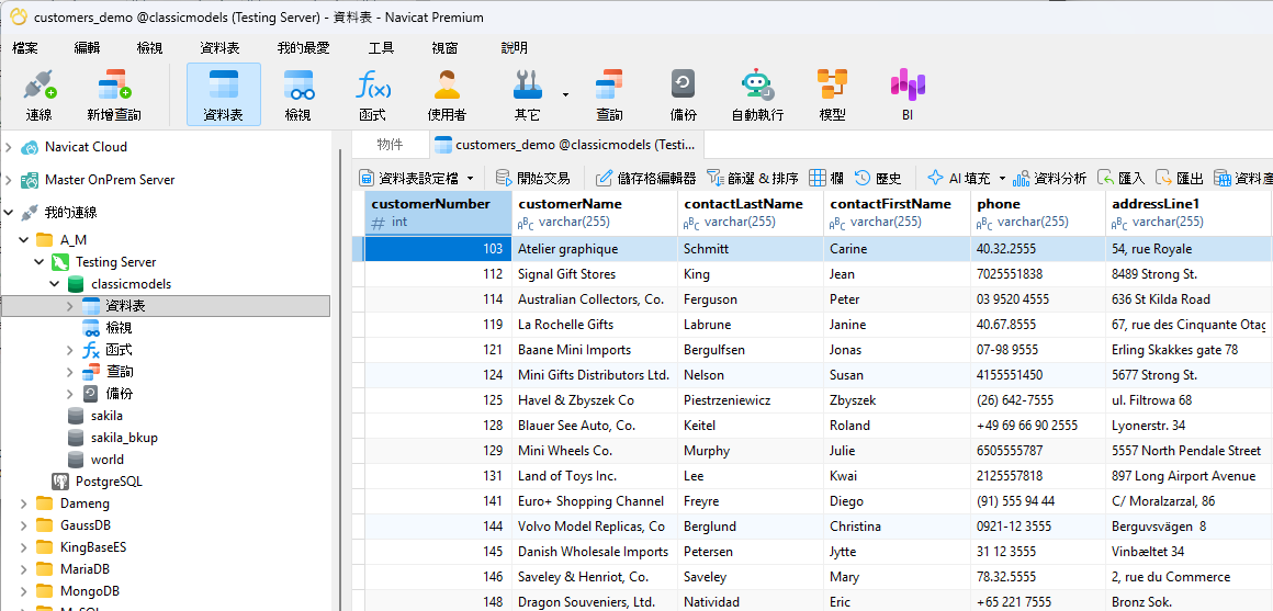 customers_demo_table_data (189K)