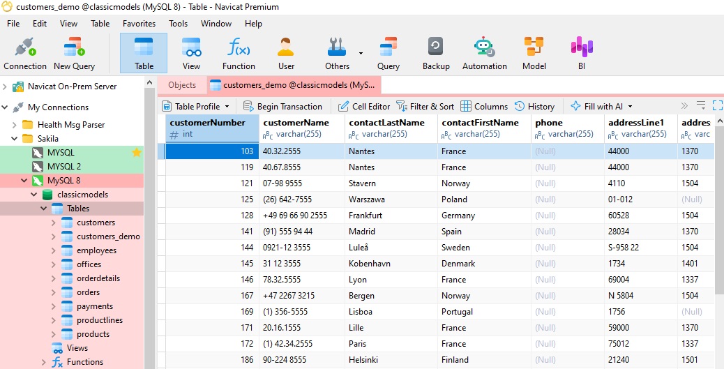 customers_demo_table_data (189K)
